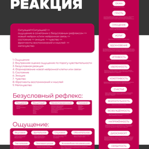 Условная реакция